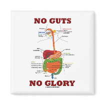 No Guts No Glory (Digestive System Anatomy Humour)