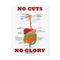No Guts No Glory (Digestive System Anatomy Humour)