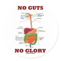 No Guts No Glory (Digestive System Anatomy Humour)