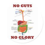 No Guts No Glory (Digestive System Anatomy Humour) stickers