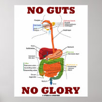 No Guts No Glory (Digestive System Anatomy)