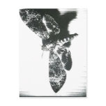 No higher resolution available. Moth_(Un_Chien_And postcards