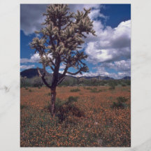 No Leaf Tree Flyer Design