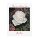 No Longer Two Postcard