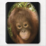 No Monkey Business Mouse Pad