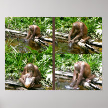 No Monkey Business Poster