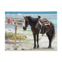 No parking postcards