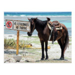 No parking postcards
