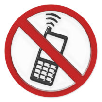 NO PHONE ZONE Sign - sticker