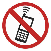 NO PHONE ZONE Sign - sticker