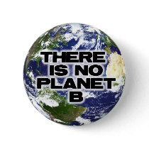 No Planet B Pinback Buttons