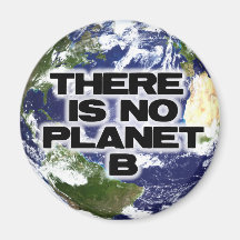 No Planet B Fridge Magnets