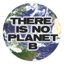 No Planet B Sticker