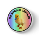 No Spring Chicken Button