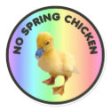 No Spring Chicken Sticker