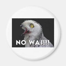 No Wai! Owl Refrigerator Magnet
