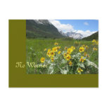 No Worries -Waterton Lakes National postcards