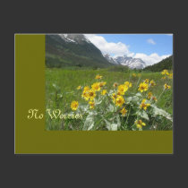 No Worries -Waterton Lakes National postcards