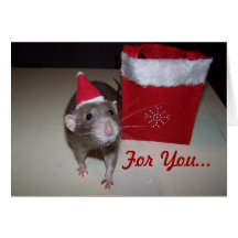 Noah Christmas Card 2