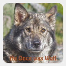 Noble German Shepherd Wolf-like Pose Stickers