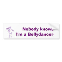 Nobody knows bumpersticker