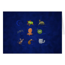 Nocturnal Animals Cards