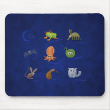 Nocturnal Animals Mouse Mat