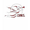 Noel Angel Long Sleeve Shirt