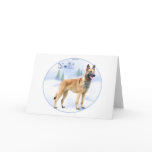 Noel Belgian Malinois Greeting Cards