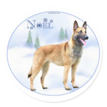 Noel Belgian Malinois Stickers