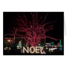 noel holiday lights greeting card