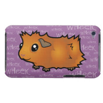 Noisy Guinea Pig (scruffy)