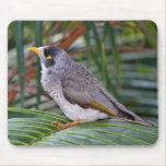 Noisy Miner Bird, Adelaide, Australia mousepads