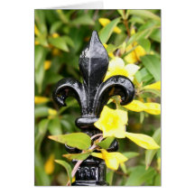 NOLA NEW ORLEANS LOUISIANA DESIGNS CARDS