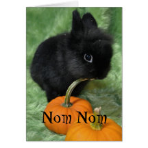 Nom Nom Halloween Bunny Card