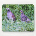 Non Bobwhite Quail Mouse Mat