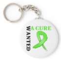 Non-Hodgkins Lymphoma WANTED A CURE keychains