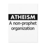 Non Prophet Organisation
