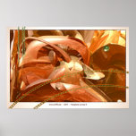Noosphere Jurney III posters