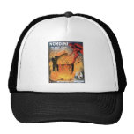Nordini~ In Devils Hell Vintage Magic Act Mesh Hats