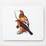 Norfolk Island Kaka Mouse Pad