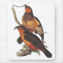 Norfolk Island Kaka - Nestor productus Mouse Mat