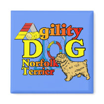Norfolk_Terrier_Agility