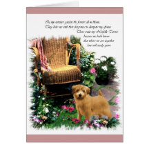 Norfolk Terrier Art Gifts Card