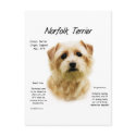 Norfolk Terrier History Design postcards
