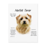 Norfolk Terrier History Design postcards