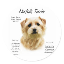 Norfolk Terrier History Design