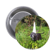 Norfolk Unicorn Hoax Unmasked Pin