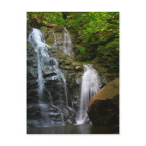 North Adams Cascade Postcards