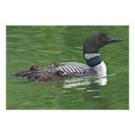 North America, Canada, British Columbia, Lac 2 Photograph